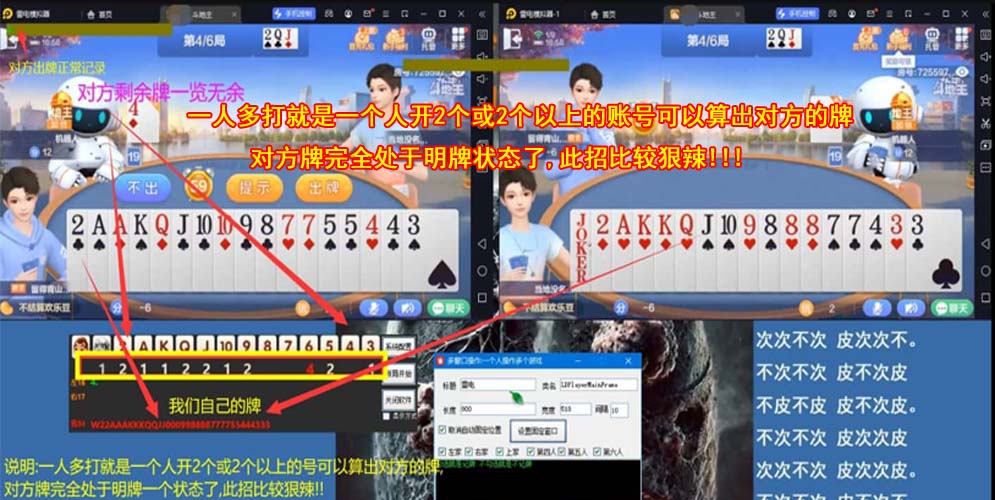 大飞电脑记牌器功能展示