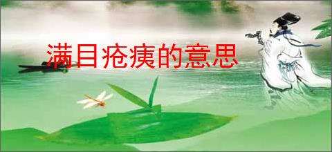 满目疮痍的意思