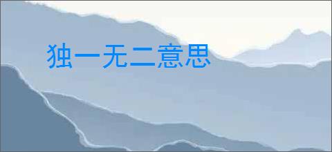独一无二意思