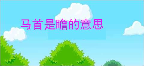 马首是瞻的意思