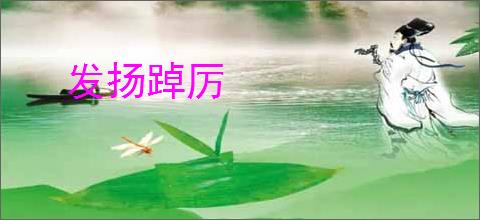 发扬踔厉